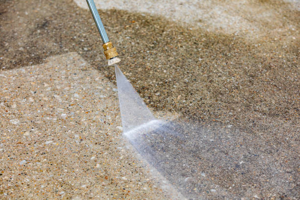 Best Dumpster Area Cleaning  in New Hyde Park, NY